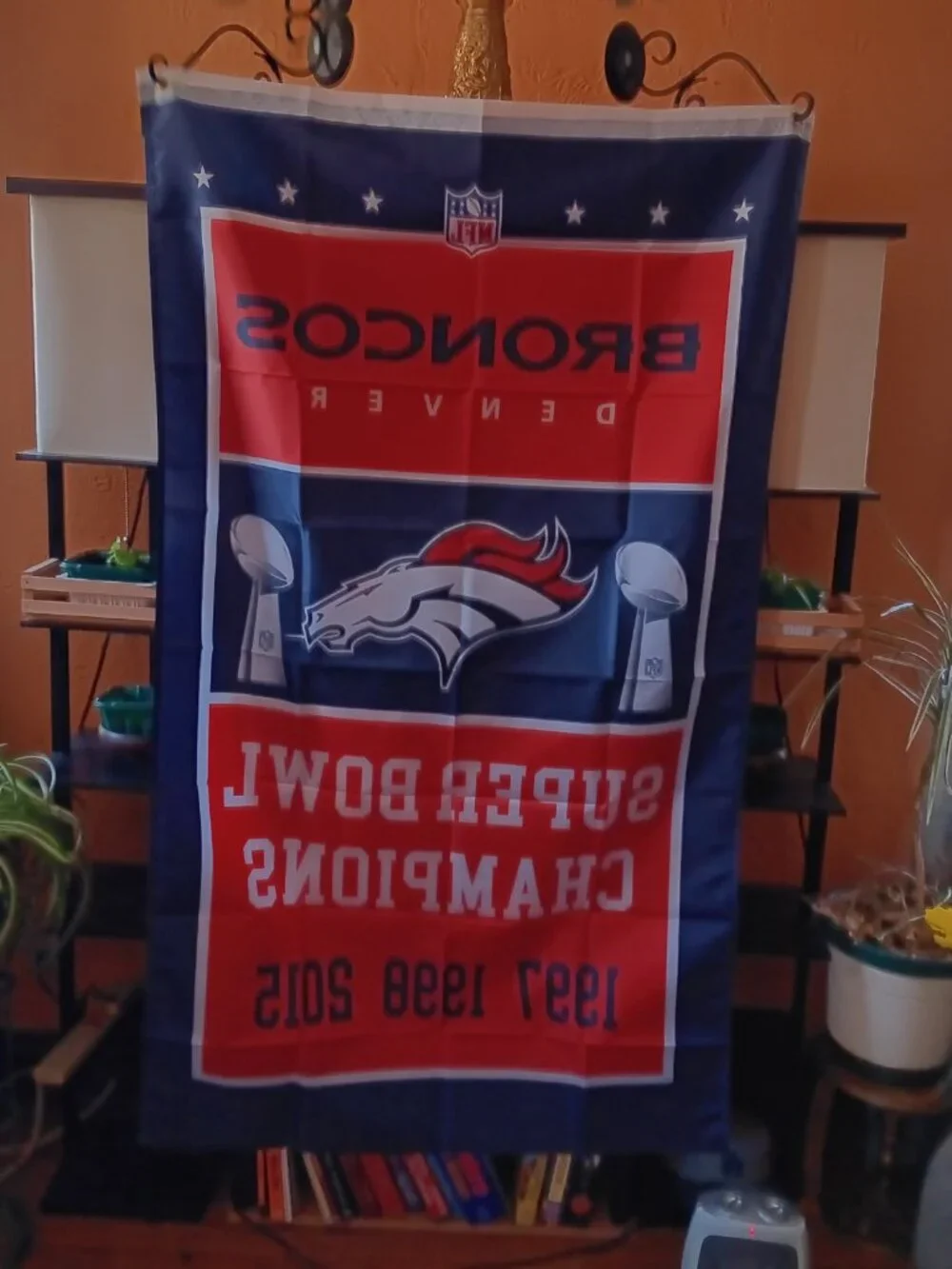 Denver Broncos Super Bowl Champion NFL 3X5 Feet Flag Banner Pole or Wall Decor